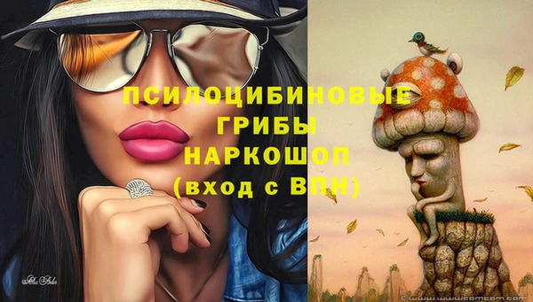 бутират Гусев