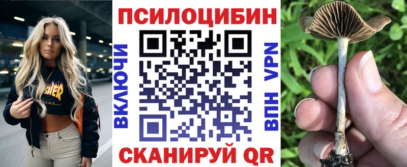 Купить где  Рассказово  Галлюциногенные грибы Psilocybine cubensis 